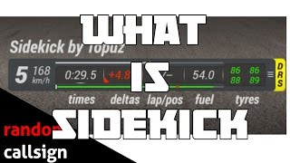 What is sidekick and how to install it (Assetto Corsa app) screenshot 3