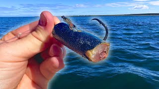 Chunky Baits Get The Bites !!! (Kayak Fishing)