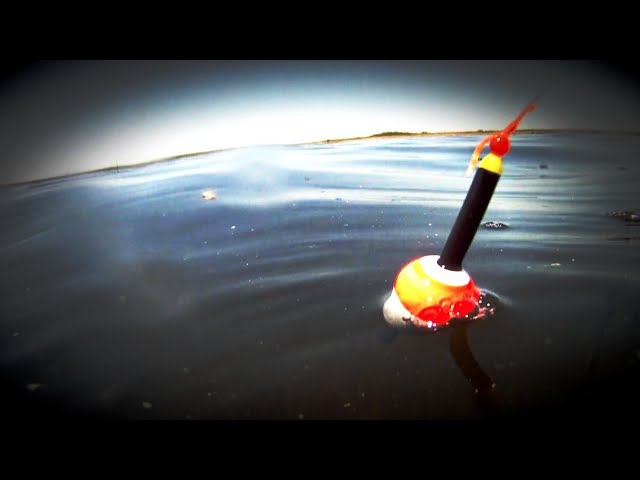 The best panfishing float/bobber on the market! 