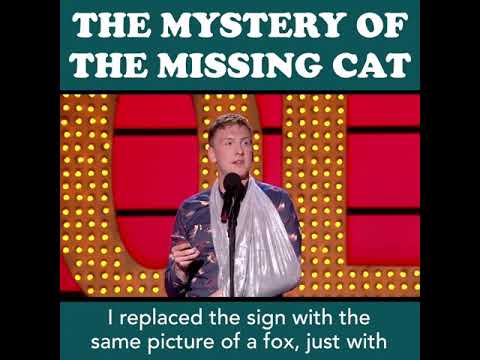 😹 Joe Lycett's missing cat will make your day