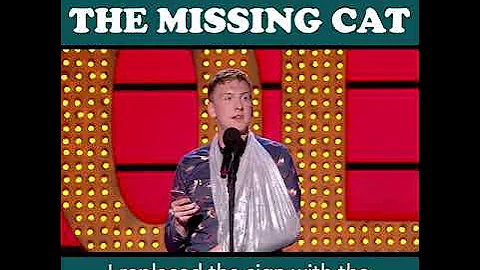 Joe Lycett's missing cat will make your day