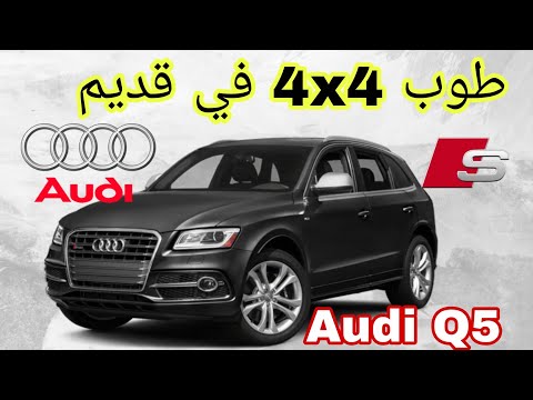  5 2008 2017 افضل كاتكات ميني صادقة بزاف