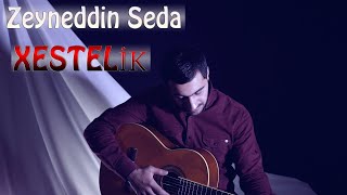 Zeyneddin Seda -  Xestelik 2022  Resimi