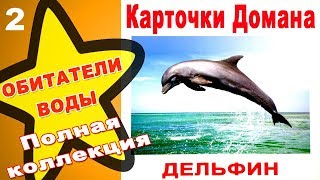 Карточки Домана Морские обитатели часть 2