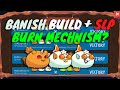 AXIE ORIGIN Banish Build & SLP BURN Update
