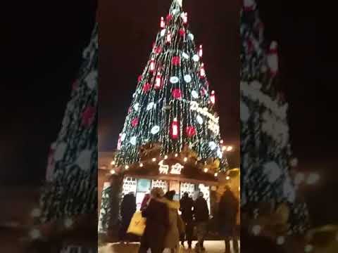 Video: Dünyanın en güzel ve pahalı Noel ağaçları