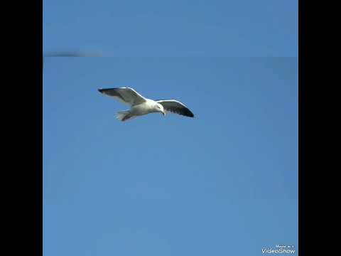 Sheikh Ibrahim Swarih Mafuso 9 Atsiku Lomaliza Part 1 