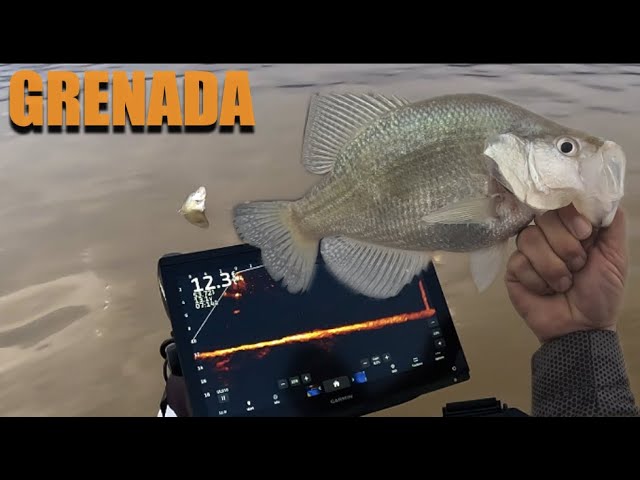 Grenada Lake Back Country Crappie Fishing 