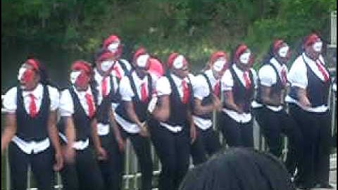 Lambda Psi Chapter of Delta Sigma Theta Spring 2008 Probate (#2)