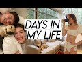 DAYS IN MY LIFE | swimsuit & summer haul, house struggles, healthy grocery haul, & simple joys!