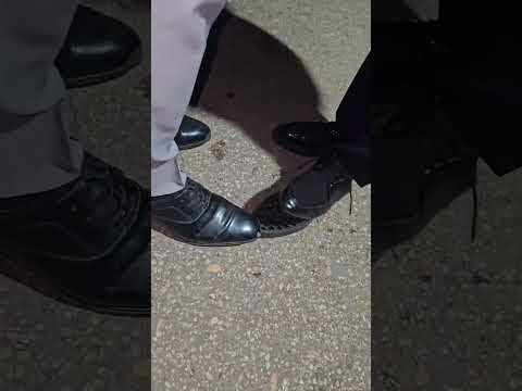 هو مشرسها باين