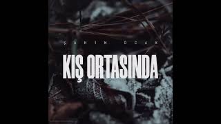 Şahin Ocak - Kış Ortasında Resimi