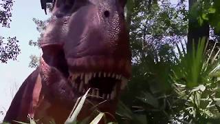Free Stock Footage T Rex Behind Tree 1