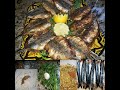 Moroccan stuffed sardines and how to clean them.سريدن مقلي بشرموله و كيفية  التنظيف