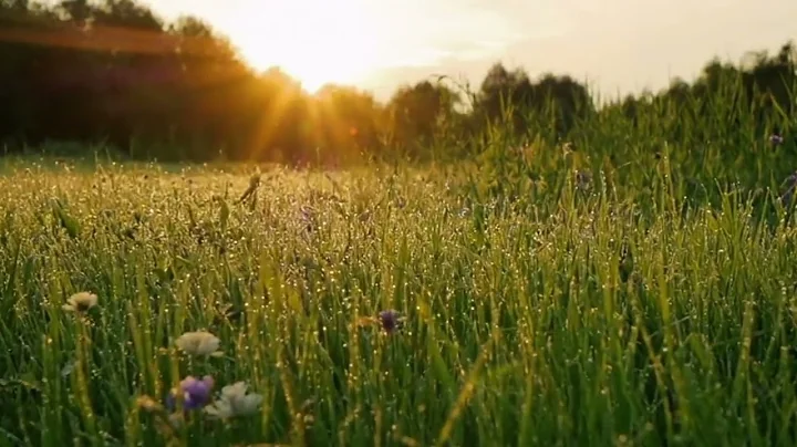 feb029b7 e3df 48f7 859c 6b0cce302ef6