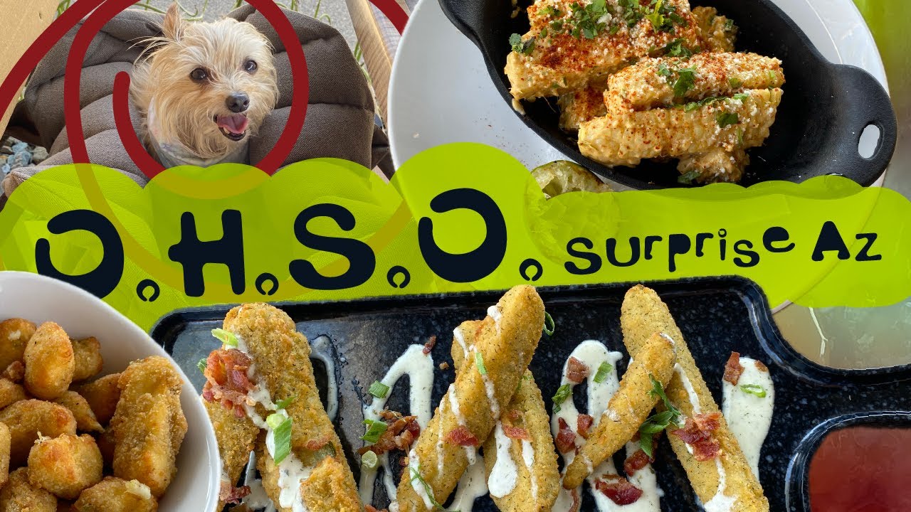 Prasada O.H.S.O Surprise AZ / Dog Friendly Restaurant Review YouTube