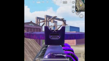 Live fast, fight hard, no regrets!