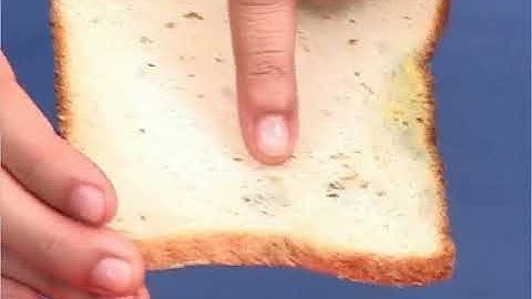 Class7 Science Saprotrophic Nutrition