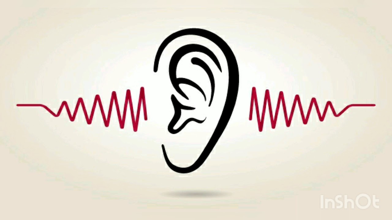 Listening Activity 1 - Present Simple vs Present Continuous