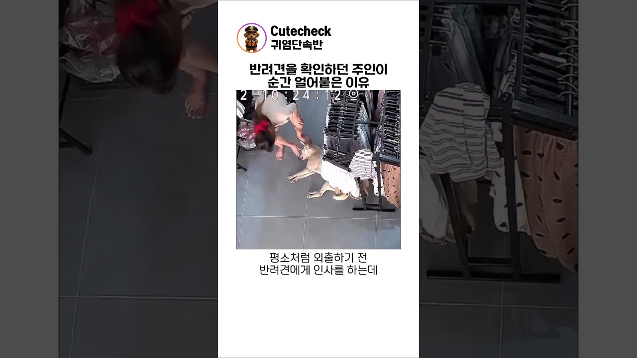 반려견을 확인하던 주인이 순간 얼어붙은 이유