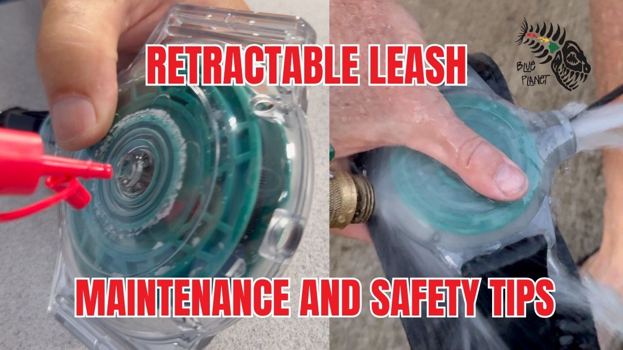 Retractable Leash system maintenance and safety tips - YouTube