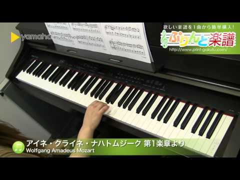 アイネ・クライネ・ナハトムジーク 第1楽章より Wolfgang Amadeus Mozart