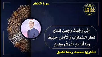 تلاوه رائعه من سورة الانعام | القارئ محمد رضا قابيل