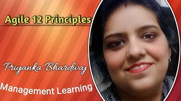 Agile  12 principles