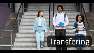 Navigating the Transfer Journey