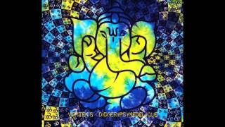 Vortek's - Didgéripsykédélique