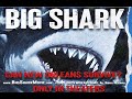 Big shark by tommy wiseau  fun