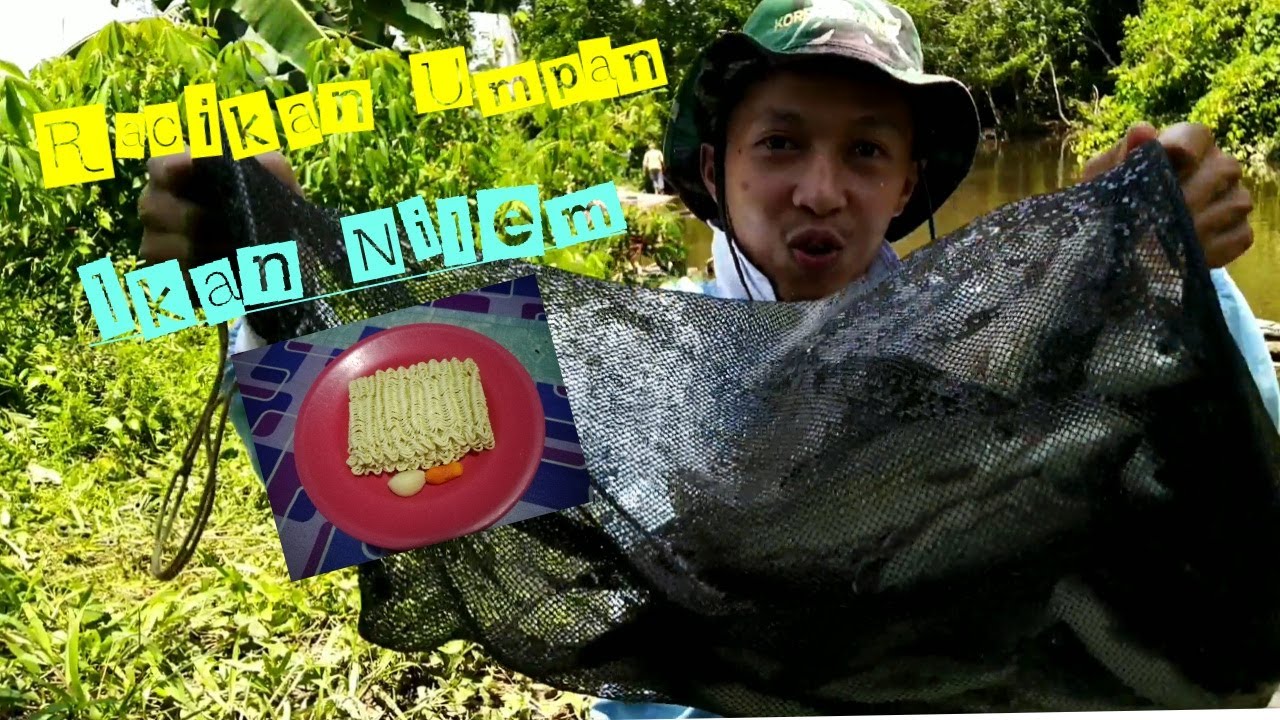 Racikan Umpan ikan nilem