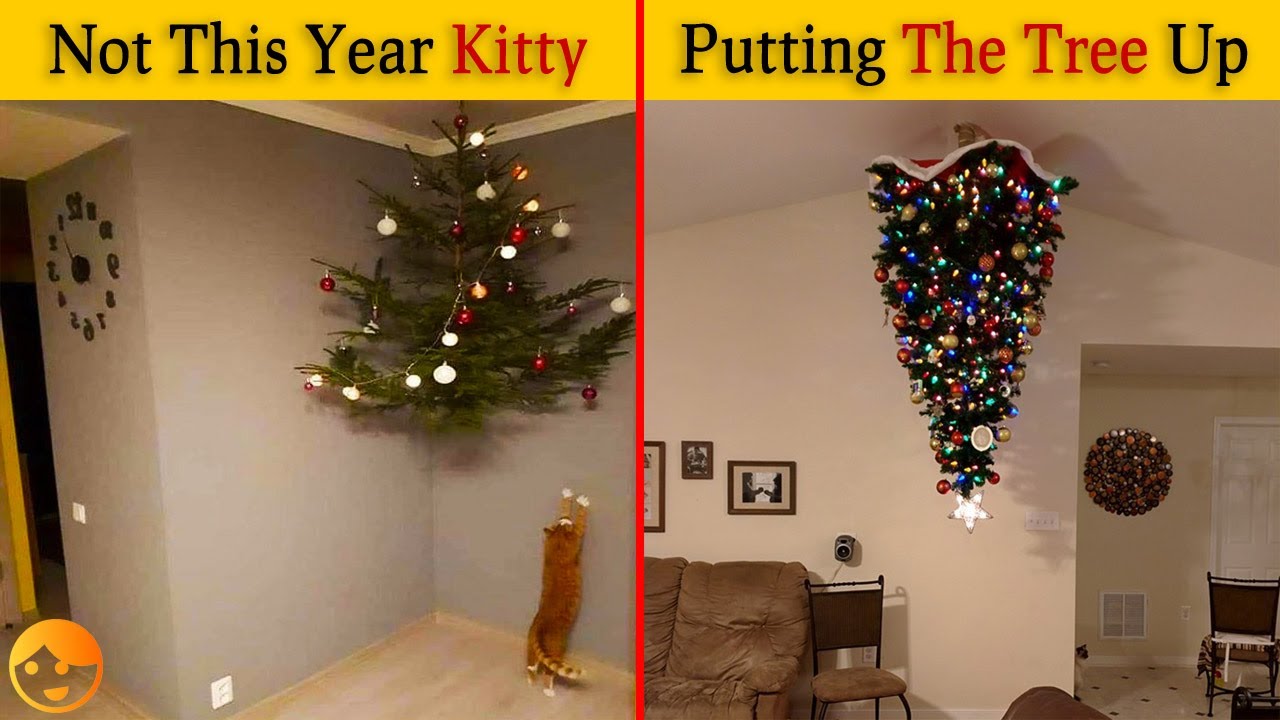 People Share Life Hacks How To Pet Proof Your Christmas Tree | It's ...