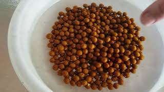 Famous The Float Test - Checking Seeds For Viability. Wealth