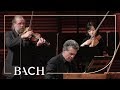 Bach - Harpsichord concerto in F minor BWV 1056 - Henstra | Netherlands Bach Society