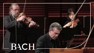 Video thumbnail of "Bach - Harpsichord concerto in F minor BWV 1056 - Henstra | Netherlands Bach Society"
