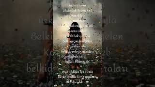 Ürkek Ceylan Resimi