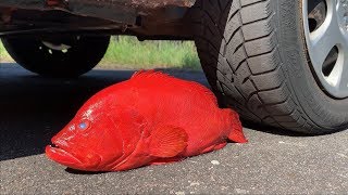 Crushing Crunchy & Soft Things by Car! - EXPERIMENT: RED FISH VS CAR