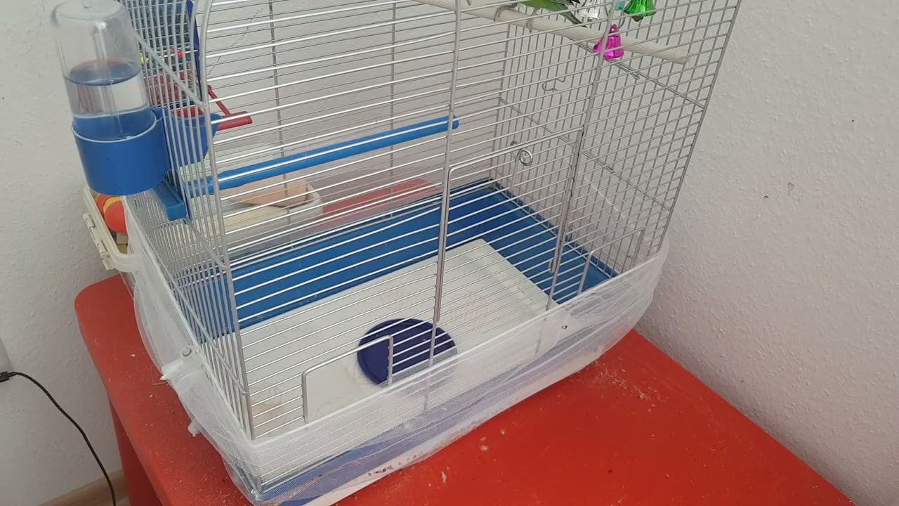 Убираюсь за кешей