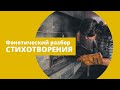 Финская фонетика на материале стихотворения Эйно Лейно.  Ноктюрн