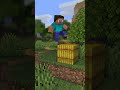 なんのRTA2？ / What kind of RTA is this?【Minecraft Animation】#shorts