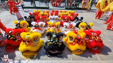 Múa Lân Sư Rồng Tinh Anh Đường cúng Chùa Bà Thiên Hậu nhân dịp Khai Quang Điểm Nhãn 2024