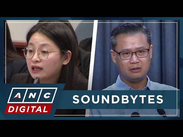 Gatchalian: Guo's mother may be a Chinese national contrary to her claims | ANC class=