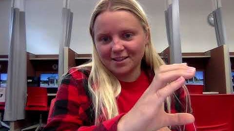 ASL 2 Final Expressive video