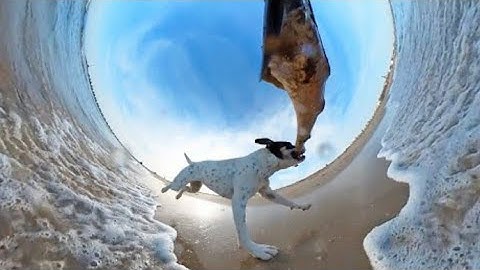 NEXT LEVEL VIDEO with Insta360 ONE X2