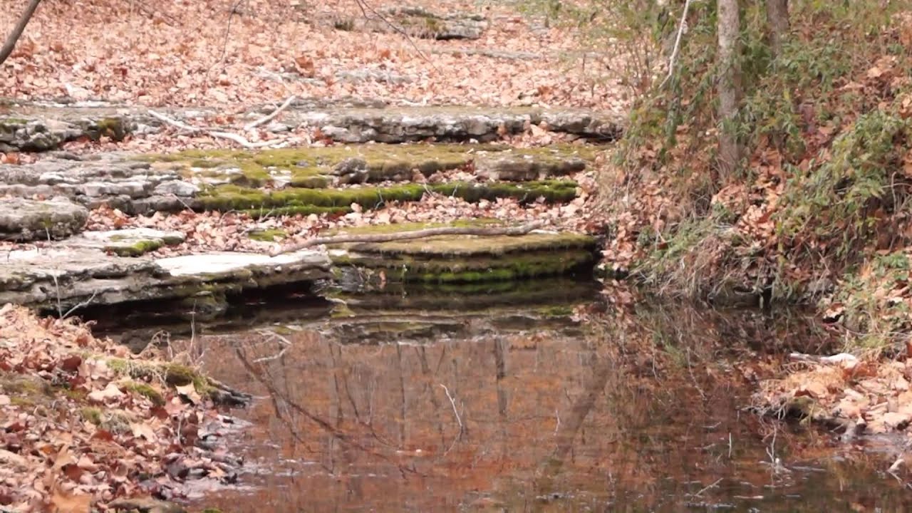 hugh foley cork Kitten Twist III 1440x1080x29 MP4 Sony Alpha SLT A65V