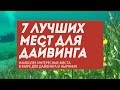 7 лучших мест для дайвинга и ныряния с аквалангом в мире