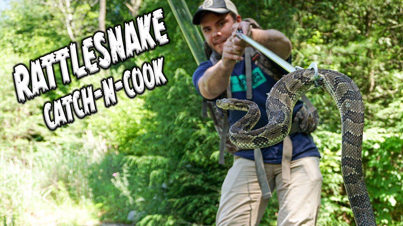 PA Rattlesnake Hunting!!! (Catch, Clean, and Cook) - YouTube