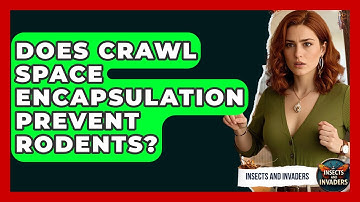 Does Crawl Space Encapsulation Prevent Rodents? - Insects and Invaders
