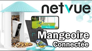 netvue birdfy feeder , la mangeoire à oiseaux connectée